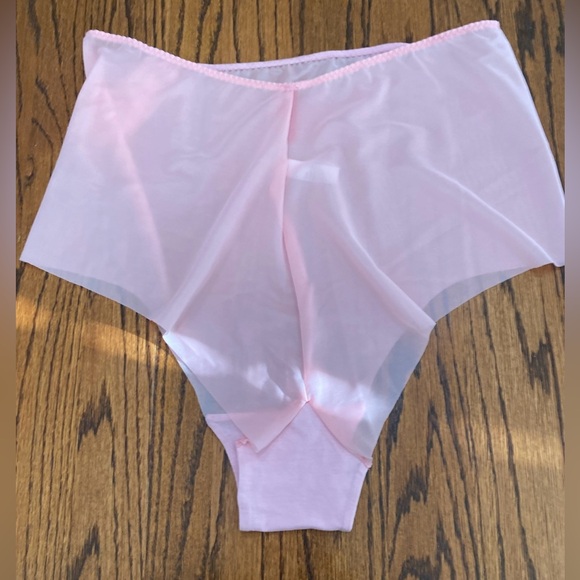 SPANX Skinny Britches Hipster Panties 3XL Gloss Pink Underwear Sheer Shaper NWT - Picture 6 of 6